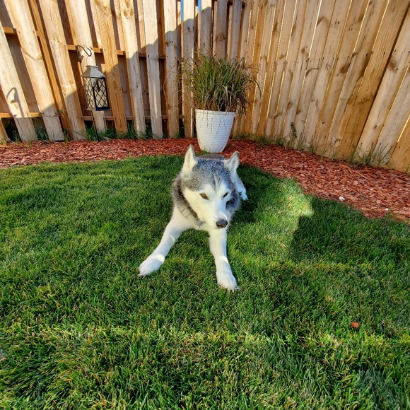 Meet your Posher, Charleen - Picture 6 of 13